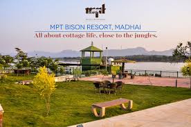 mp tourism bison resort