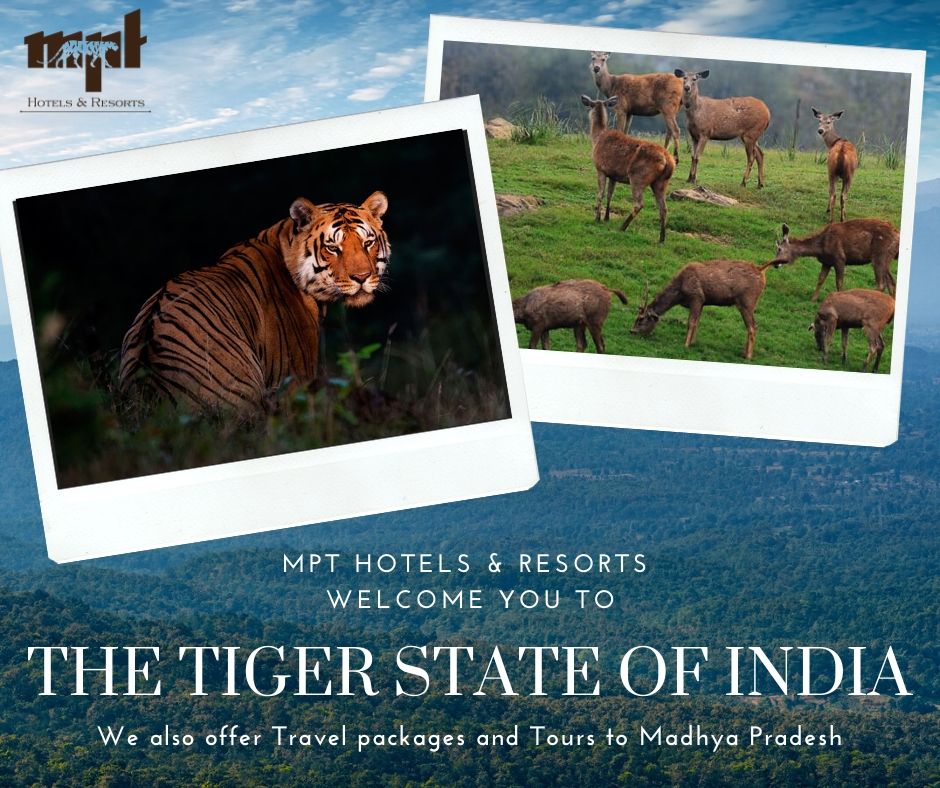 Madhya Pradesh Tourism Hotels & Resorts – Your Host in the Heart of Incredible India